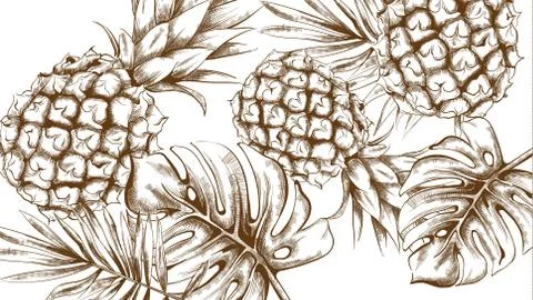Pineapple tropic summer pattern Vector line arts. Exotic banner card template 스톡 일러스트