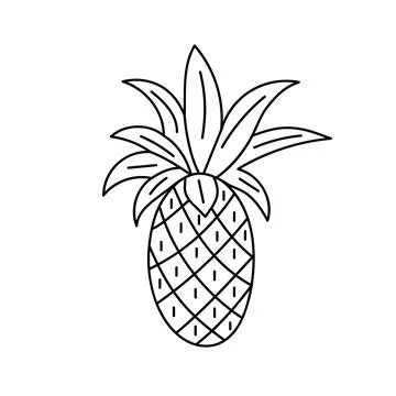 Pineapple tropical fruit. Stock Illustration
