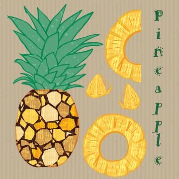 Pineapple tropical fruit vector illustration. Colorful textured modern design. Stock Illustration
