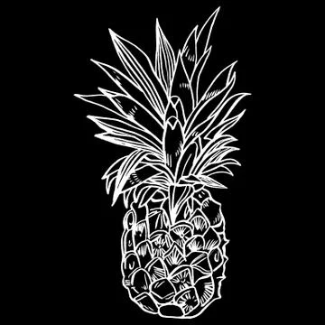 Pineapple tropical fruit. Vector object Stock Illustration