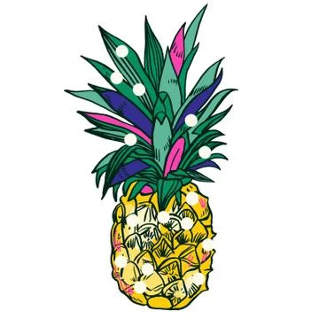 Pineapple tropical fruit. Vector object Stock Illustration