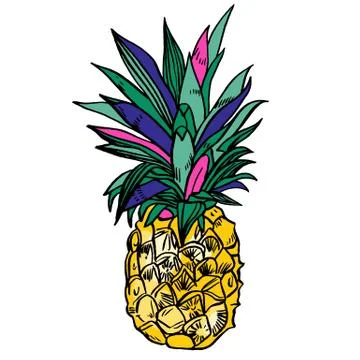 Pineapple tropical fruit. Vector object Stock Illustration
