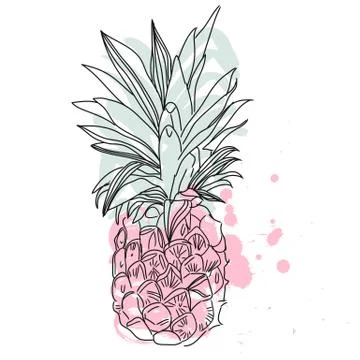 Pineapple tropical fruit. Vector object Stock-Illustration