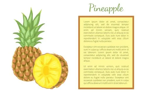 Pineapple Tropical Plant Fruit Poster Frame Text 스톡 일러스트