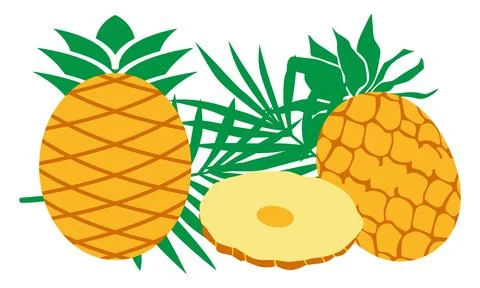 Pineapple  Vector Design And Illustration Bundle. Stock Illustration