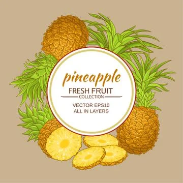 Pineapple vector frame Illustrazione stock