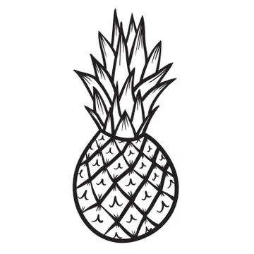 Pineapple vector hand drawn illustration Stock Illustration