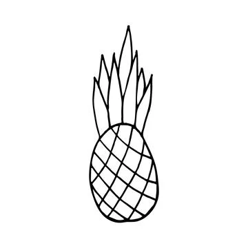 Pineapple vector icon. Hand drawn pineapple illustration Stock Illustration