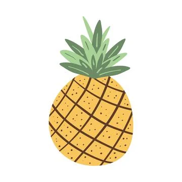 Pineapple vector icon. Tropical fruit Illustration perfect for summer desig.. 스톡 일러스트