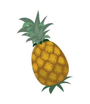Pineapple vector Stock Illustration