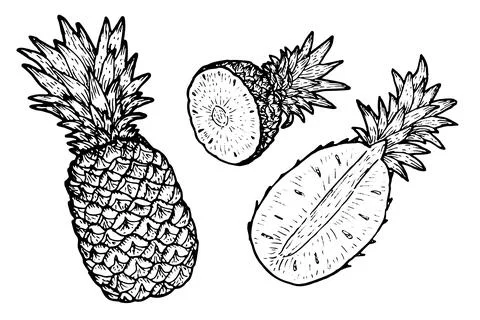 Pineapple vector set. Whole and half tropical fruit with leaves Stock Illustration