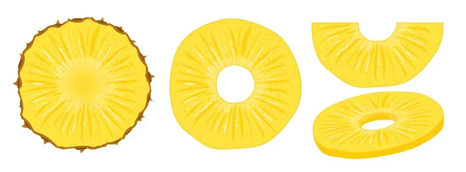 Pineapple vector slice fruit illustration. Realistic ananas piece isolated Stock Illustration