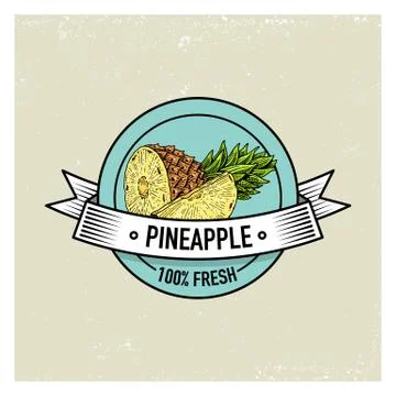 Pineapple Vintage, hand drawn fresh fruits background, summer plants, vegetarian Stock Illustration