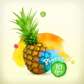 Pineapple watercolor, vector illustration Stock Illustration