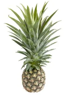 Pineapple on white background with clipping path Stock Photos
