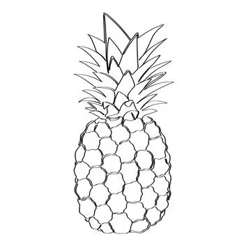 Pineapple on a white background. Isolated line art. Stock Illustration
