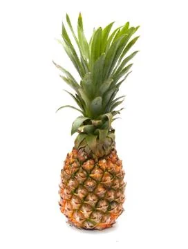 Pineapple on a white background Stock Photos