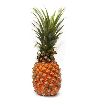 Pineapple on a white background Stock Photos