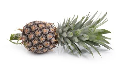 Pineapple on a white background Stock Photos