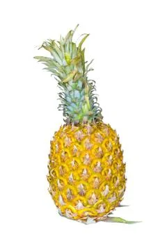 Pineapple on white background Stock Photos