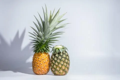 Pineapple White Background Stock Photos