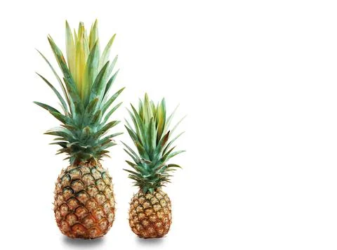 Pineapple on white background. Stock Photos