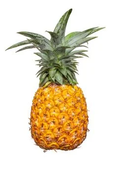 Pineapple on white background 스톡 사진