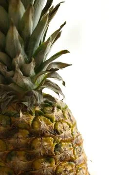 Pineapple on a white background Stock Photos