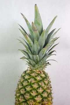 Pineapple on white Stock Photos