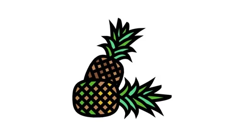 Pineapple whole two color icon animation Stock Footage 225065682