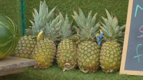 Pineapples 4k Stock Footage 92821201
