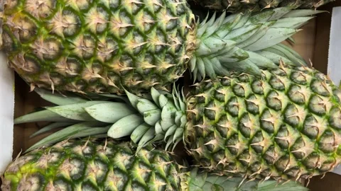 Pineapples arranged in cardboard box Video stock 301914116