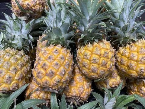 Pineapples background. Close Up Of Fresh Pineapples in a supermarket local. Stock Photos