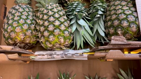 Pineapples in cardboard box Stock Footage 301247057