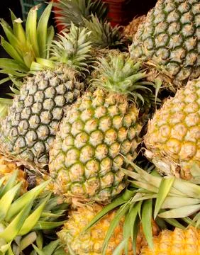 Pineapples closeup Stock Photos