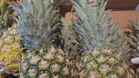 Pineapples On Display In A Supermarket Stock Footage 295146208