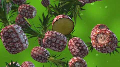 Pineapples Falling In Slow Motion Stock Footage 279658474