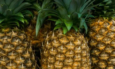 Pineapples - fresh ripe pineapple selection Foto stock
