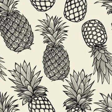 Pineapples hand drawn sketch. Stock Illustration