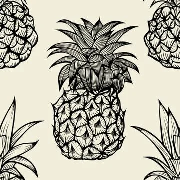 Pineapples hand drawn sketch イラスト素材