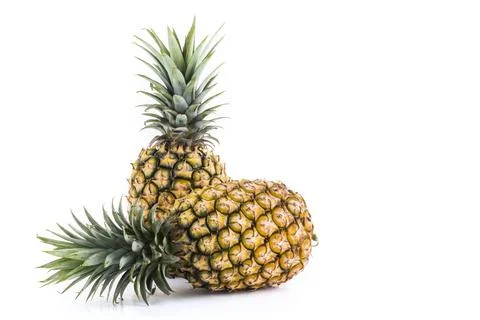 Pineapples isolated on white background Foto stock