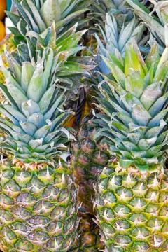 Pineapples on a market Stock Photos