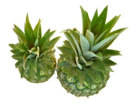 Pineapples Stock Photos