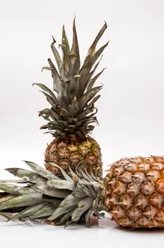Pineapples Stock Photos