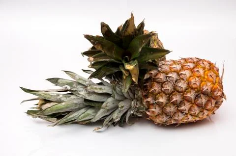 Pineapples Stock Photos