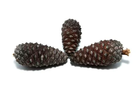 Pineapples 写真素材