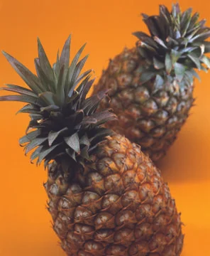 Pineapples Stock Photos