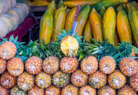 Pineapples Stock Photos