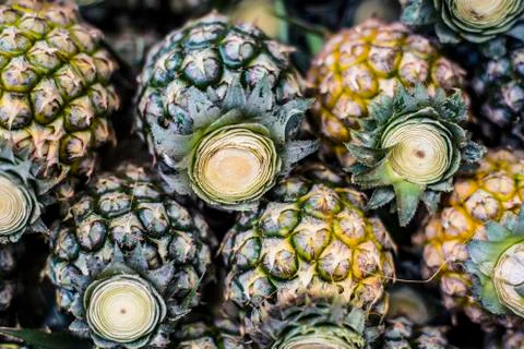 Pineapples Stock Photos