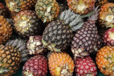 Pineapples Foto stock